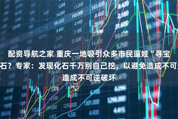 配资导航之家 重庆一地吸引众多市民遛娃“寻宝”挖化石？专家：发现化石千万别自己挖，以避免造成不可逆破坏