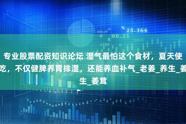 专业股票配资知识论坛 湿气最怕这个食材，夏天使劲吃，不仅健脾养胃排湿，还能养血补气_老姜_养生_姜茸